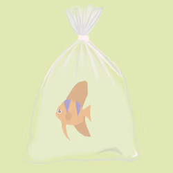 Feesh #2580 "JJtwoTheO"
