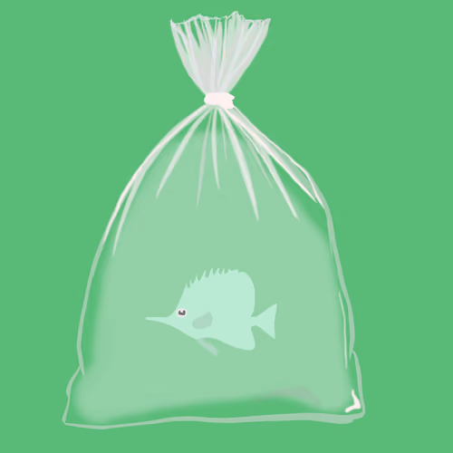Feesh #862 "Luna"