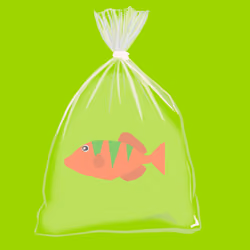 Feesh #357