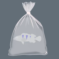 Feesh #3371