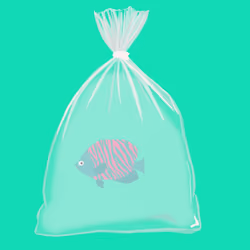 Feesh #3572 "Terrence Feeshkenna"