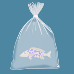 Feesh #3982