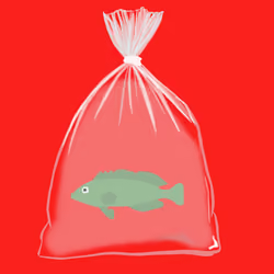 Feesh #454