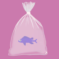 Feesh #3978 "DmexicanTaco"
