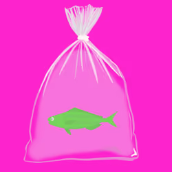 Feesh #717