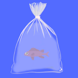 Feesh #2256