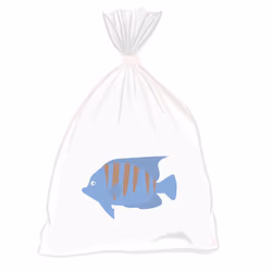 Feesh #1038 "ooooooh Feesh"