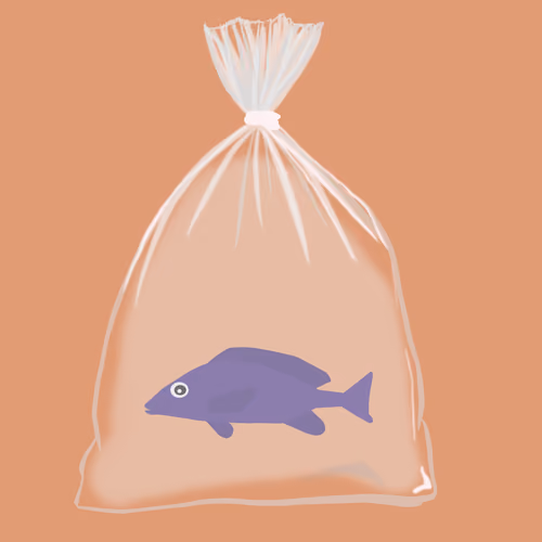 Feesh #846