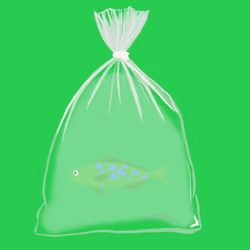 Feesh #1090 "Cheese"