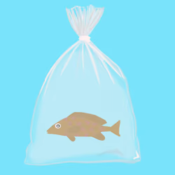 Feesh #4072