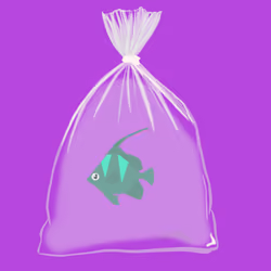 Feesh #1991