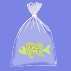 Feesh #1219