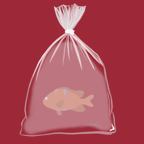 Feesh #1979