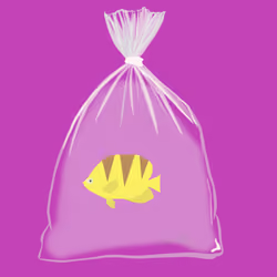 Feesh #1878