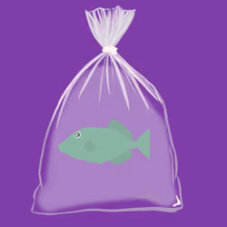Feesh #1134 " Sarcastic Fringehead"