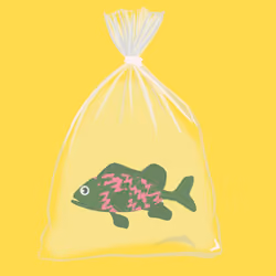 Feesh #301