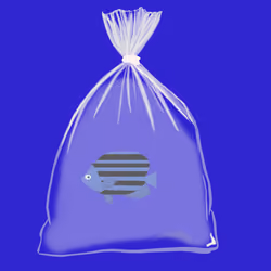 Feesh #303