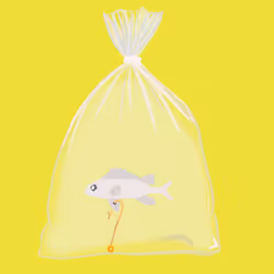 Feesh #161 "Remy"