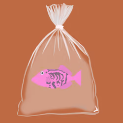 Feesh #2041