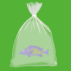 Feesh #3476