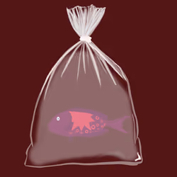 Feesh #1987