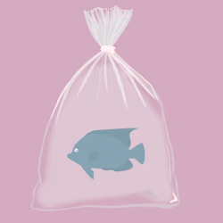 Feesh #656