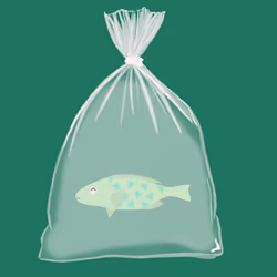 Feesh #4096