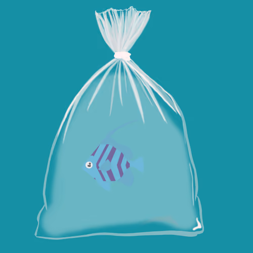 Feesh #196