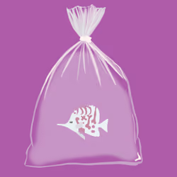 Feesh #2960 "Drewbert "