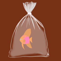 Feesh #1122