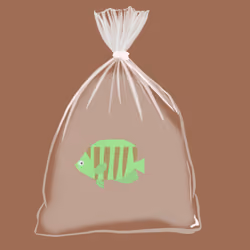 Feesh #55 "Larry"
