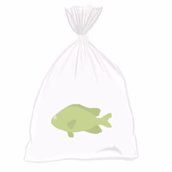 Feesh #2528