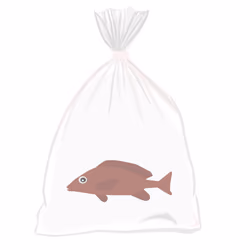 Feesh #353