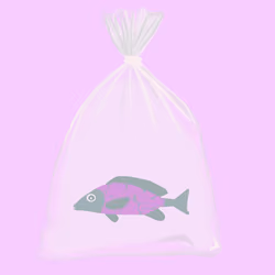 Feesh #3426 "Cheech"