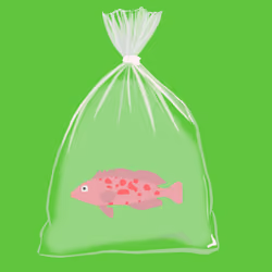 Feesh #697