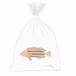 Feesh #3169 "dapperfeesh"