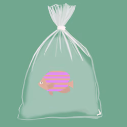 Feesh #1506
