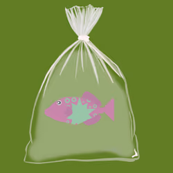 Feesh #1971 "Starbucks"