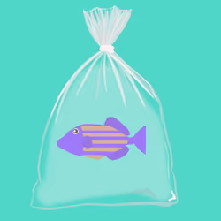 Feesh #3189 "Gill Clinton"