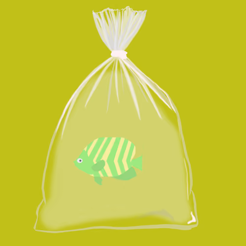 Feesh #1554 "Bob"