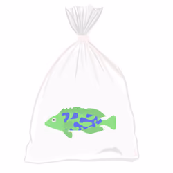 Feesh #2658