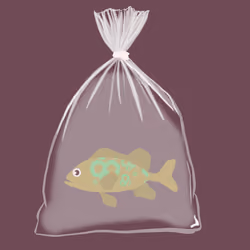 Feesh #1880