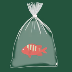 Feesh #2387 "big kahuna"