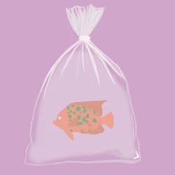 Feesh #2862