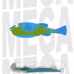 Feesh #3707 "Ghost BG"