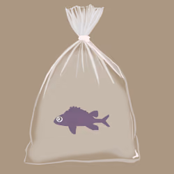 Feesh #1486