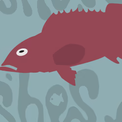Feesh #4115