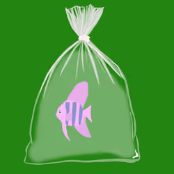 Feesh #3052