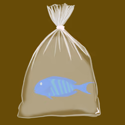 Feesh #3571 "Deez da Feesh"