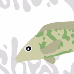 Feesh #3274 "IkissU"
